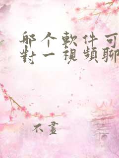 哪个软件可以一对一视频聊天