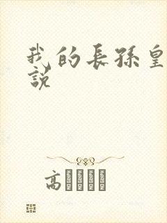 我的长孙皇后小说