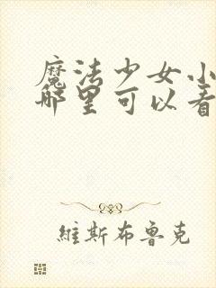 魔法少女小圆在哪里可以看