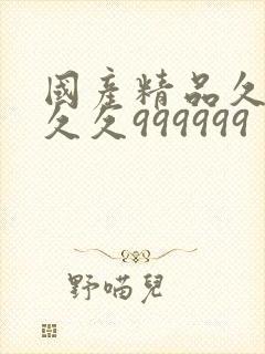 国产精品久久久久久999999