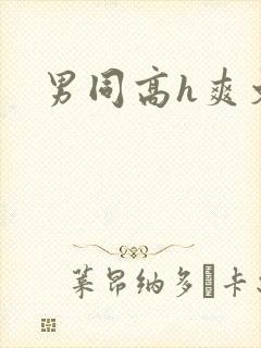 男同高h爽文