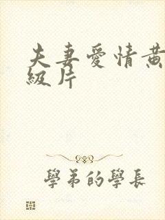 夫妻爱情黄色一级片