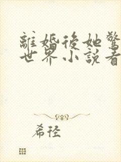 离婚后她惊艳了世界小说看