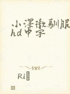 小泽彻驯服人妻hd中字