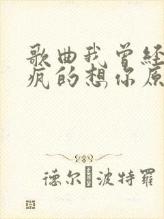 歌曲我曾经发了疯的想你原唱