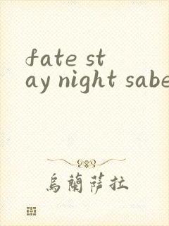 fate stay night saber线