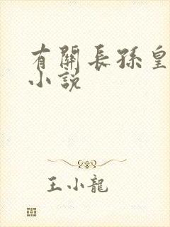 有关长孙皇后的小说