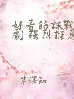 好看的谍战电视剧 强烈推荐