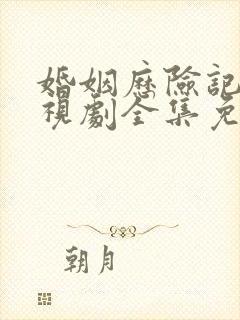 婚姻历险记 电视剧全集免费观看