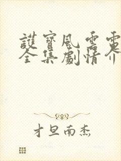 护宝风云电视剧全集剧情介绍