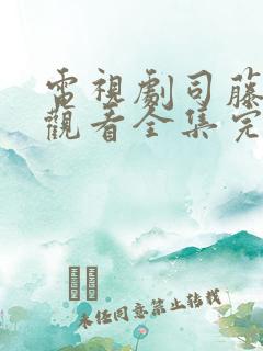 电视剧司藤免费观看全集完整版