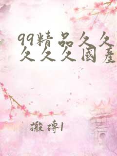 99精品久久久久久久国产