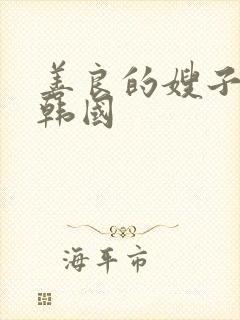 善良的嫂子3 韩国