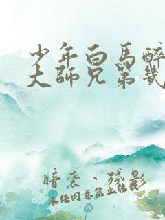 少年白马醉春风大师兄第几集出现的