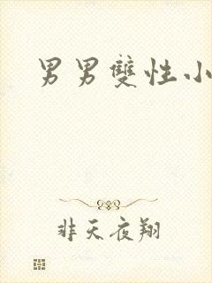 男男双性小说黄