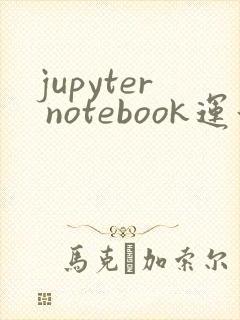 jupyter notebook运行出现*号