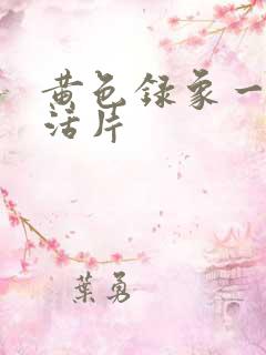 黄色录象一级生活片