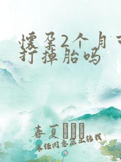 怀孕2个月可以打掉胎吗