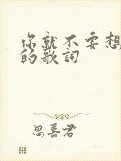你就不要想起我的歌词