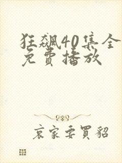 狂飙40集全集免费播放