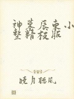 神墓辰东小说完整精校版