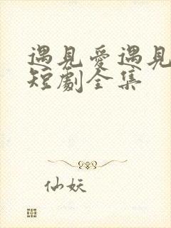 遇见爱遇见幸福短剧全集