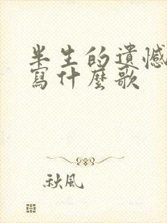 半生的遗憾谁来写什么歌