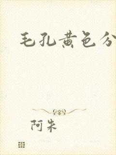 毛孔黄色分泌物