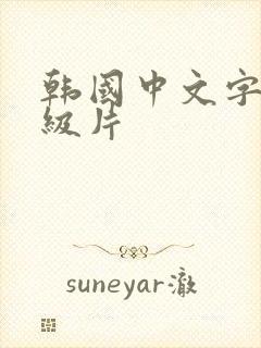 韩国中文字幕一级片