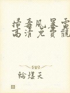 扫毒风暴电视剧高清免费观看全集