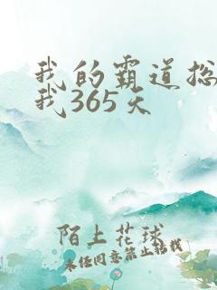 我的霸道总裁和我365天