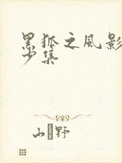 黑狐之风影有多少集