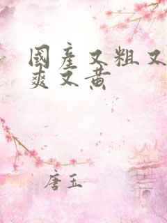 国产又粗又猛又爽又黄