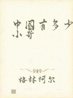 中国有多少外卖小哥