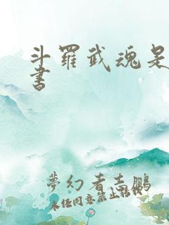 斗罗武魂是一本书