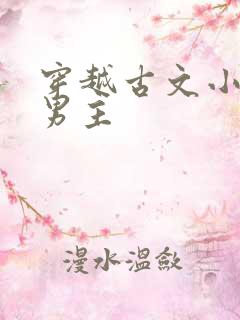 穿越古文小说双男主