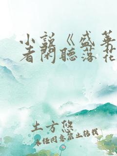 小说《盛华》作者闲听落花