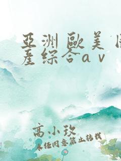 亚洲 欧美 国产综合aⅴ