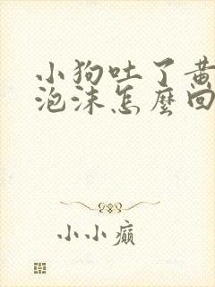 小狗吐了黄色带泡沫怎么回事