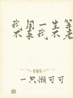 我用一生等你你不来我不老是什么歌