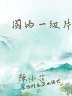 国内一级片人妻