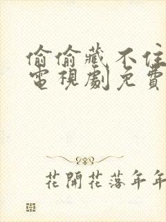 偷偷藏不住在线电视剧免费观看