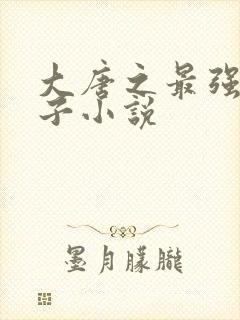 大唐之最强熊孩子小说