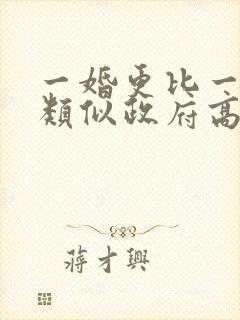 一婚更比一婚高类似政府高干