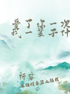 爱了你一次痛了我一辈子什么歌名