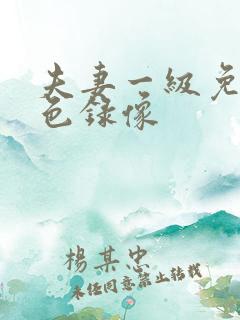 夫妻一级免费黄色录像