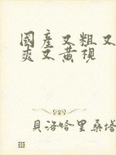 国产又粗又猛又爽又黄视