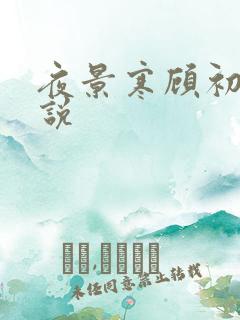 夜景寒顾初暖小说