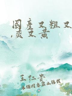 国产又粗又猛又,爽又黄