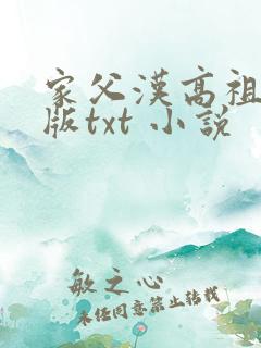 家父汉高祖精校版txt 小说